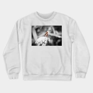 Butterfly colour isolation 1 Crewneck Sweatshirt